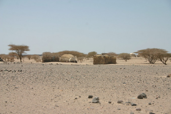 Traditional Afari huts