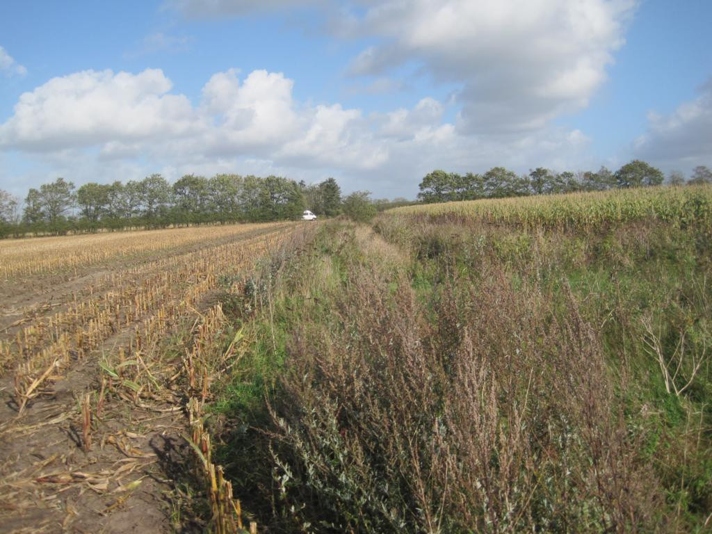 At halfway, view back to campingcar