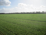 #3: Süden; view south