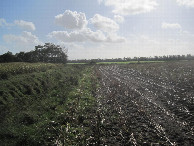 #6: At halfway, view towards meadow with CP