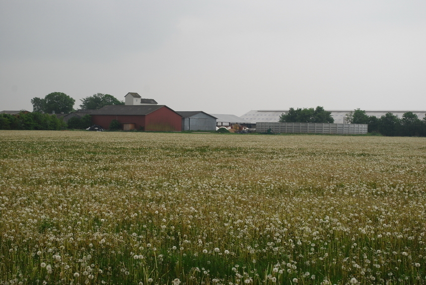 Farm, located south of the CP