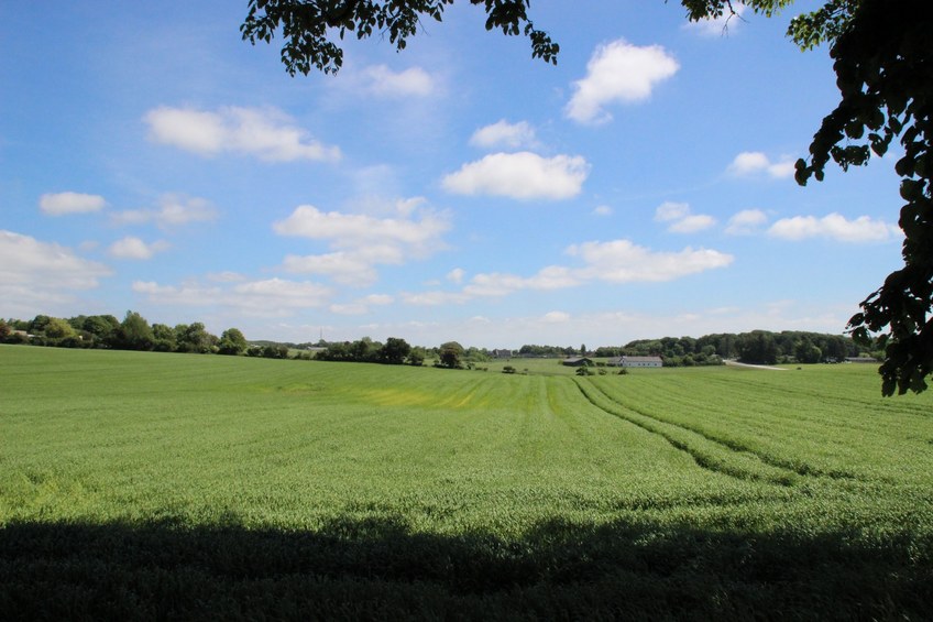 looking east from the CP