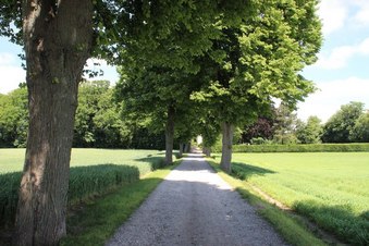 #1: CP 55N 12E, looking north