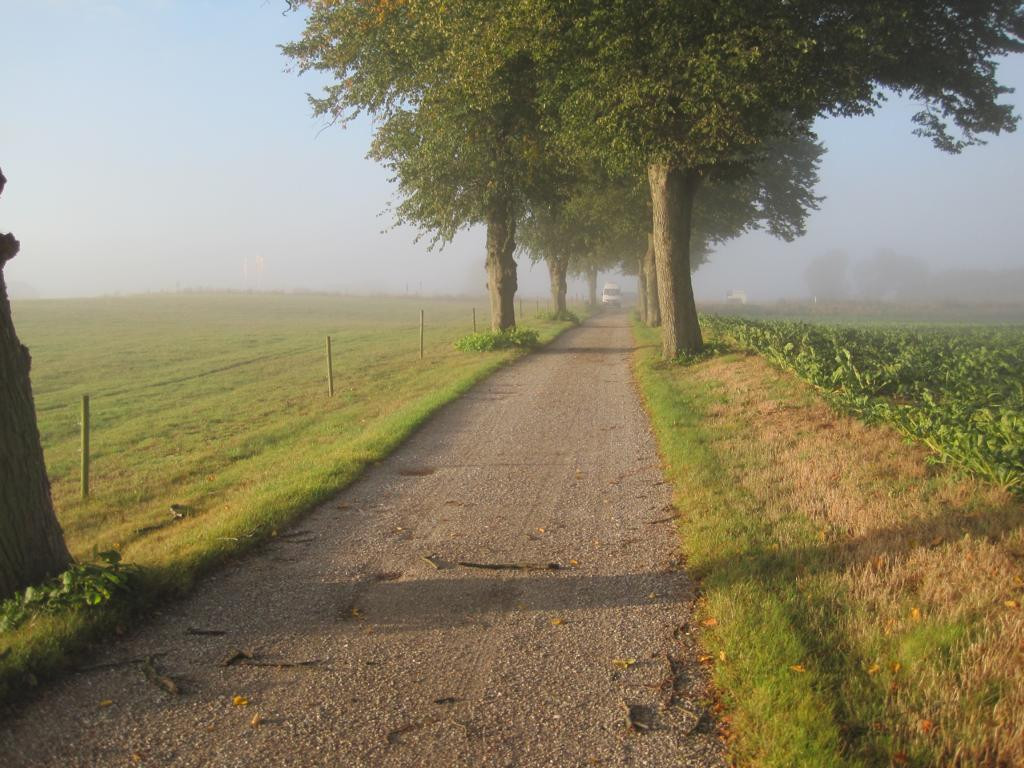 Süden; view south