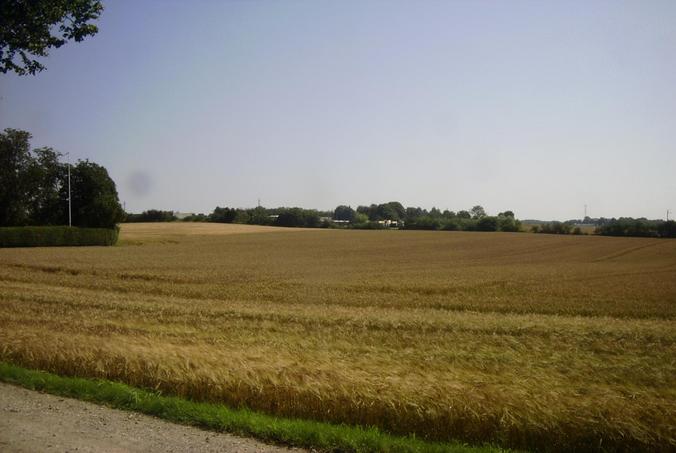 Blick nach Osten / View east