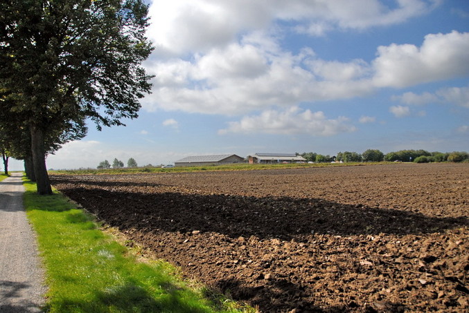 View west / Blick nach Westen