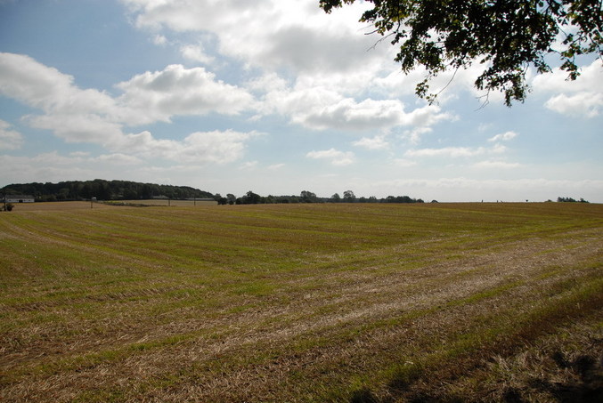 View south / Blick nach Süden