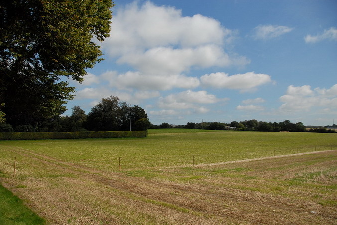 View east / Blick nach Osten