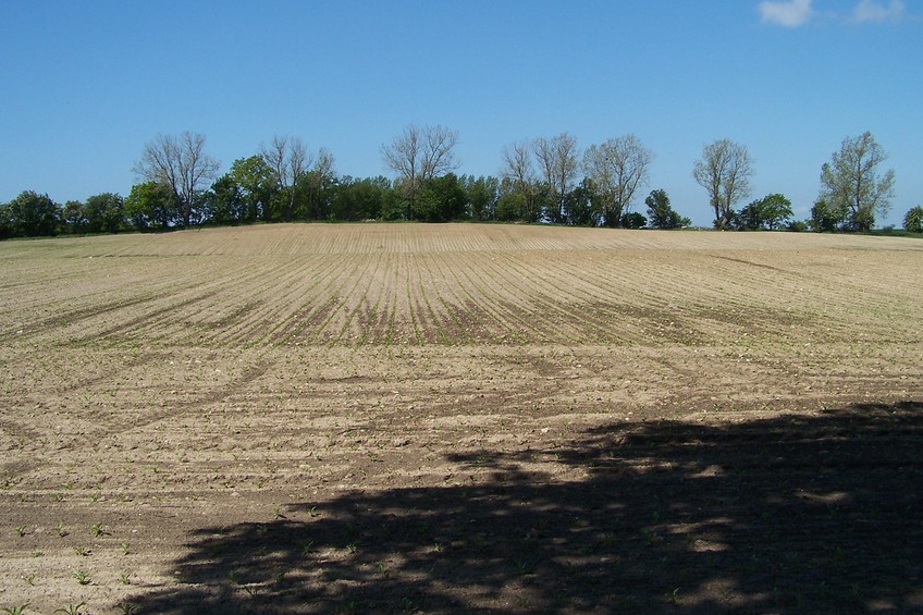 View towards W from the confluence