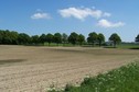 #2: General view of the confluence (towards NE, ca. 200 m away)