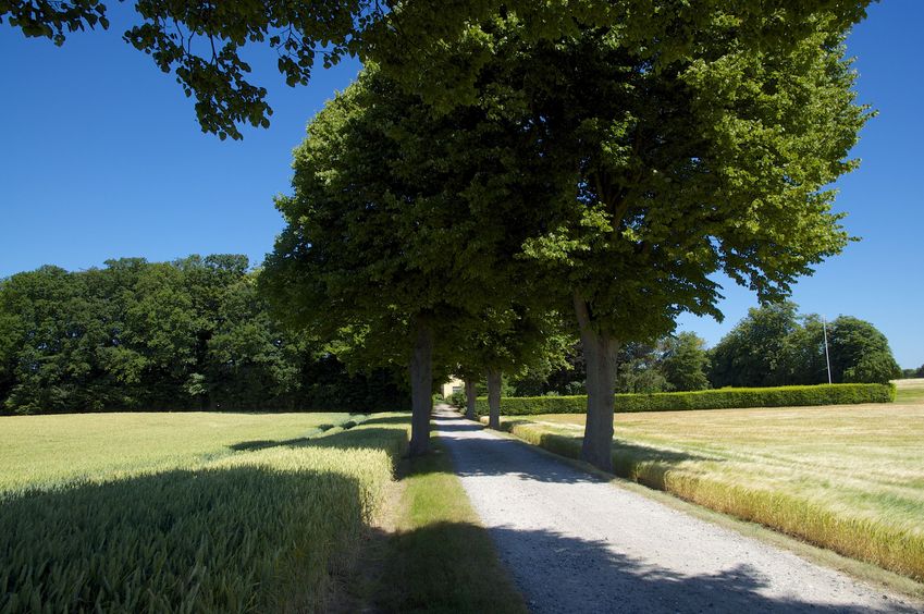 View North (along the driveway, towards the home)