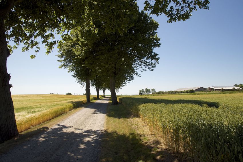 View South (along the driveway, back towards the road)