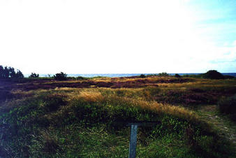 #1: Looking south to the Baltic Sea