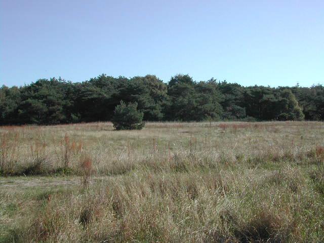 West