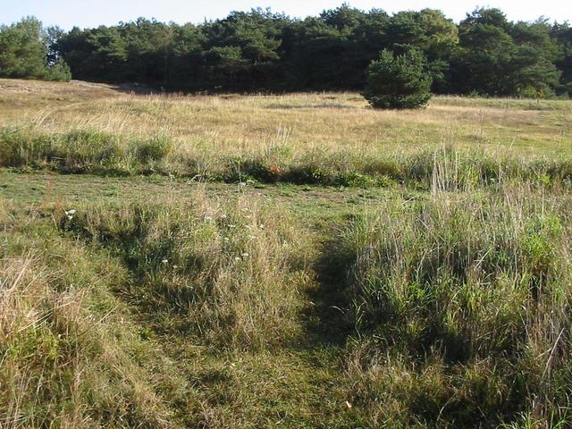 View east