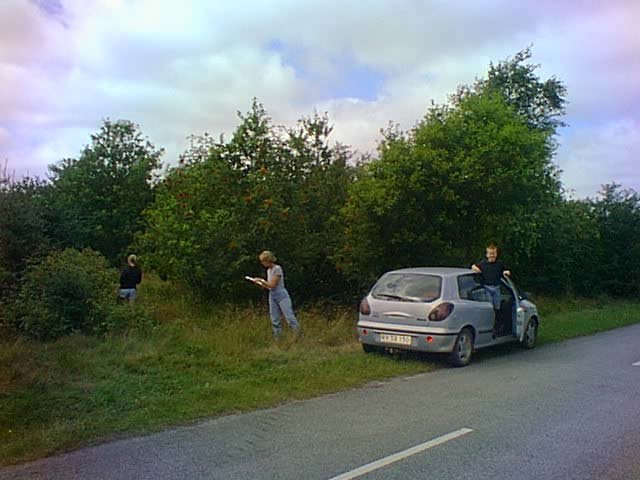 Entering the area of confluence, a beautiful Danish farm