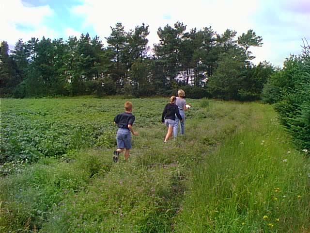 Crossing potato fields on the way to confluence