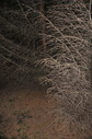 #4: View south / Blick nach Süden