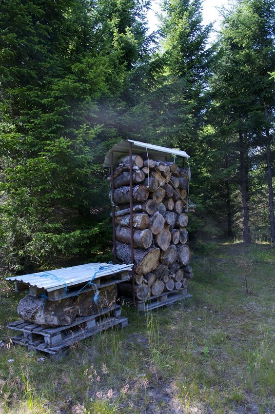 A pile of cut wood, seen en route to the confluence point