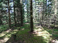 #3: North