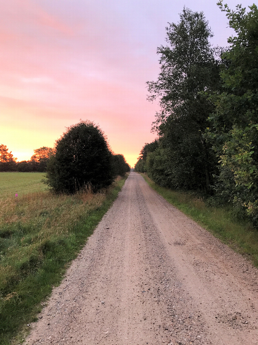 Häufig schnurstracks geradeaus