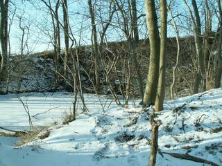 #1: The area around the confluence.