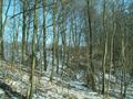 #4: East.