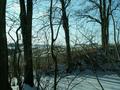 #5: West.