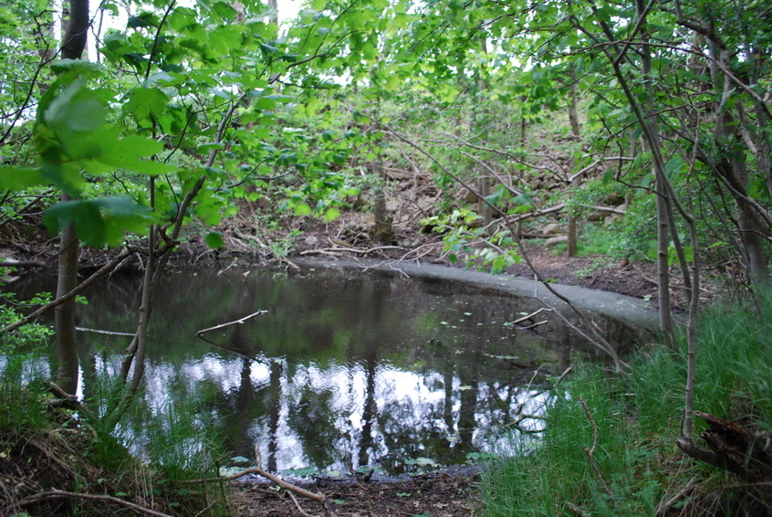 Small pool nearby the CP