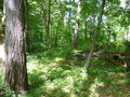 #5: View west with the entrance of the camp