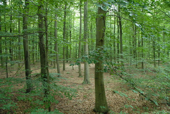 View west / Blick nach Westen