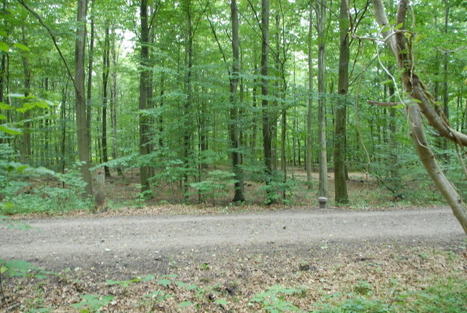 View south / Blick nach Süden