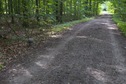 #5: The confluence point lies on this forest path.  (A concrete marker alongside seems to mark the point.)