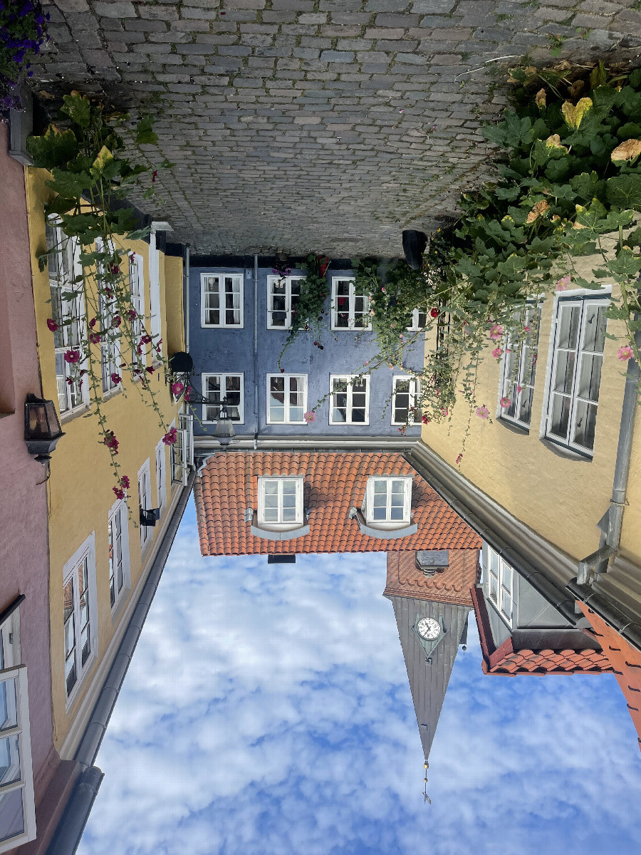 Flower Street in Aalborg