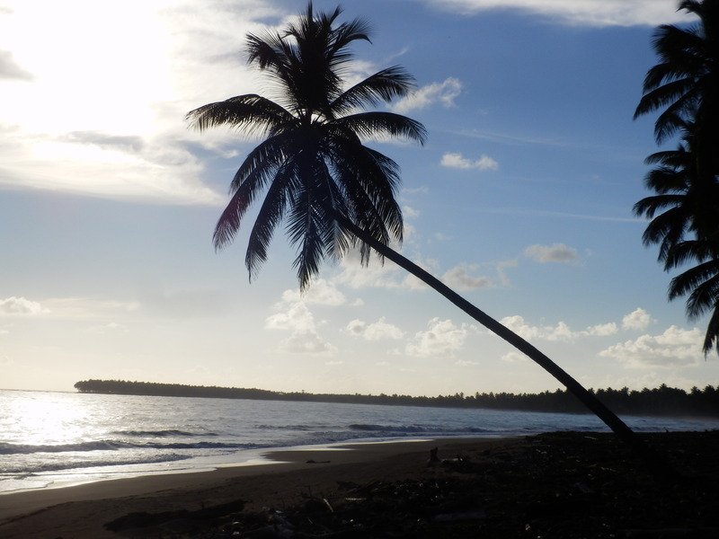 The Lonely Beach Playa Limon