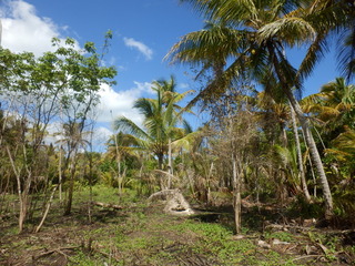 #1: The Confluence from 20 m Distance