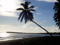 #10: The Lonely Beach Playa Limon