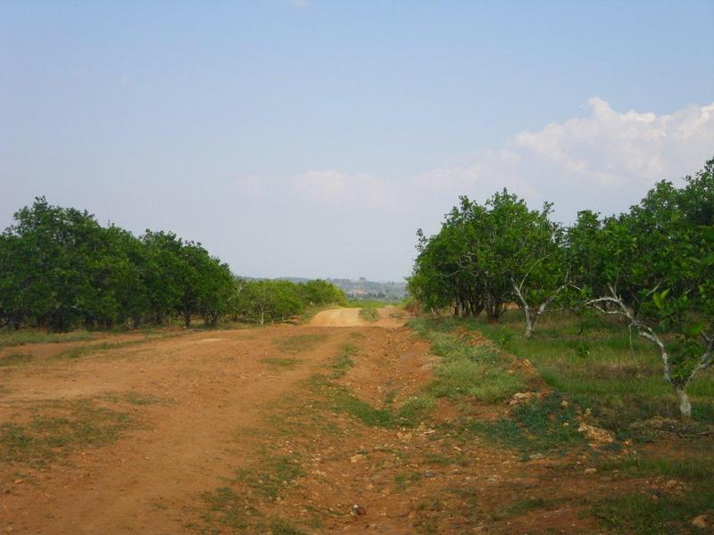 Vista Este -East View