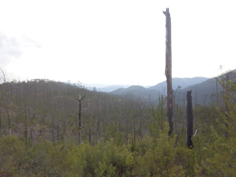 Landscape Towards the Confluence Point