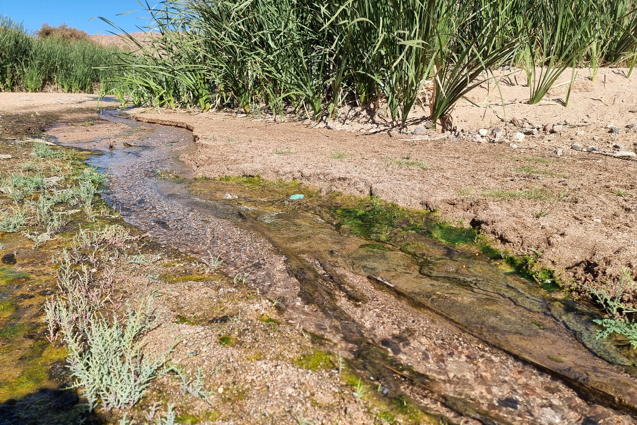Sweet water source at the end of the wadi