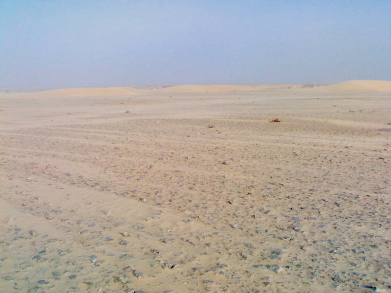 East view from the point