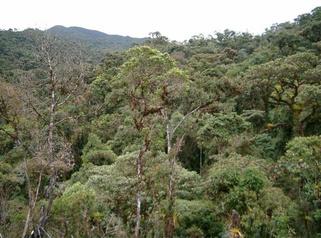 #1: View into direction of the confluence from our point of return. The confluence must be on or behind the ridge above.