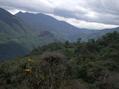 #3: View into the Zamora Valley upriver