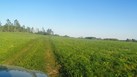 #10: Field lavatory / Полевой туалет