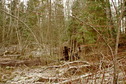 #2: North view