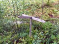 #6: The confluence point lies at the intersection of two overgrown forest roads, with this old marker nearby