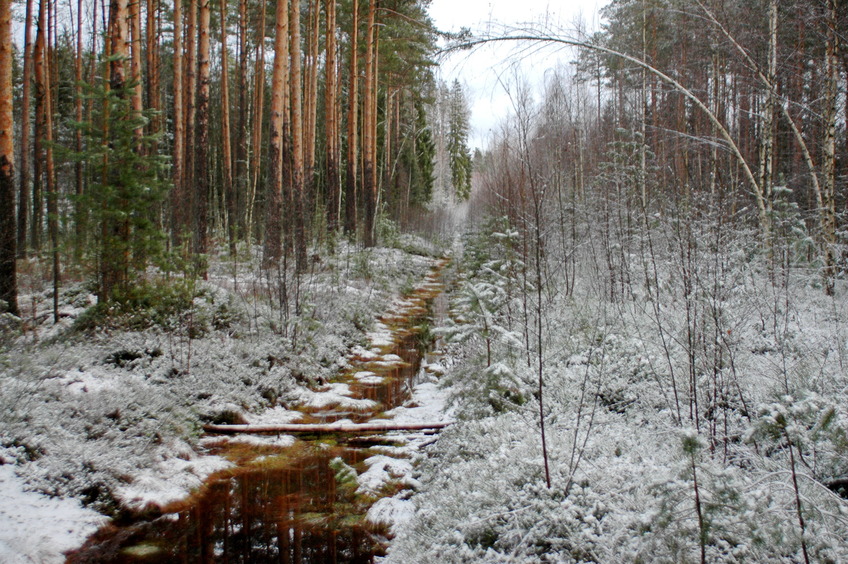 Drainage ditch