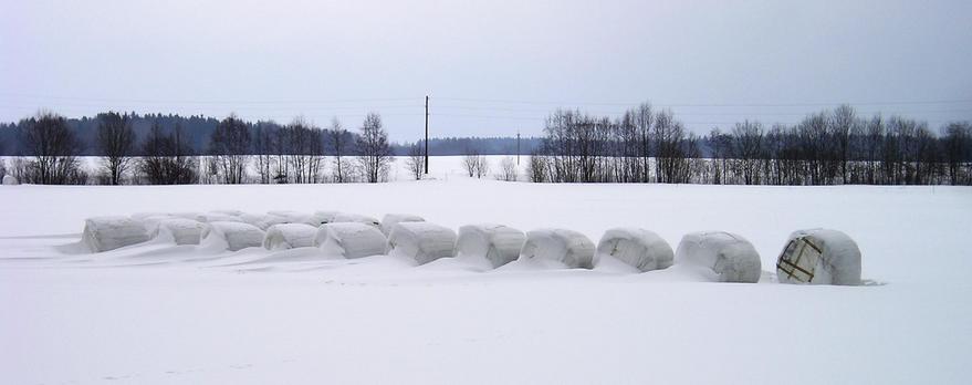 Agricultural masterpieces near the Confluence