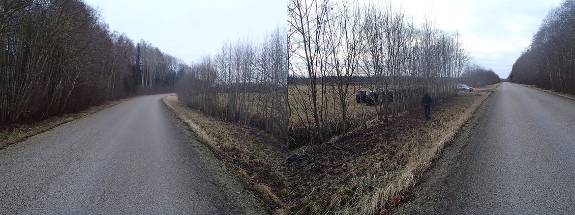 Road near DC / Дорога у пересечения