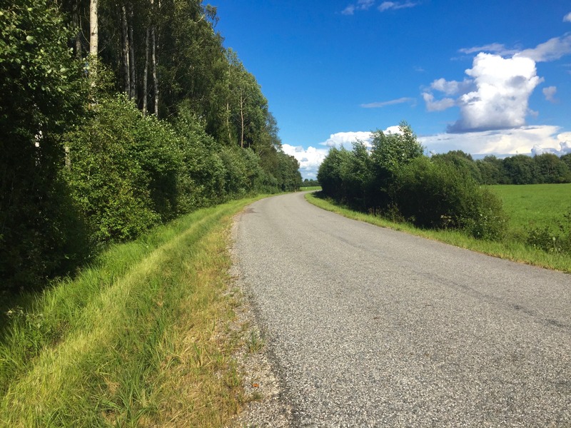 Looking eastward along the rural road, 27 m from the point - which lies in the forest to the left of this photo